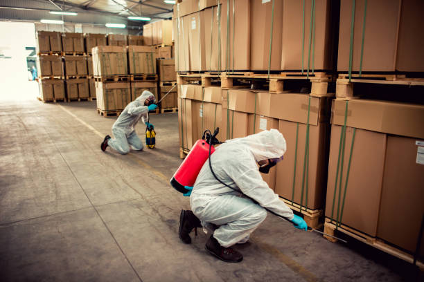 Best Mosquito Control Services  in Vernal, UT