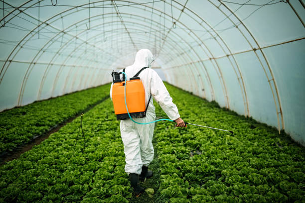 Best Commercial Pest Control Services  in Vernal, UT