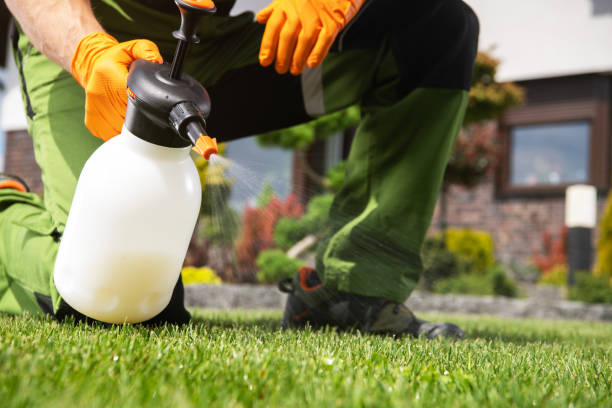Best Pest Inspection Near Me  in Vernal, UT