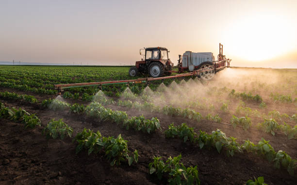 Best Pest Inspection Near Me  in Vernal, UT