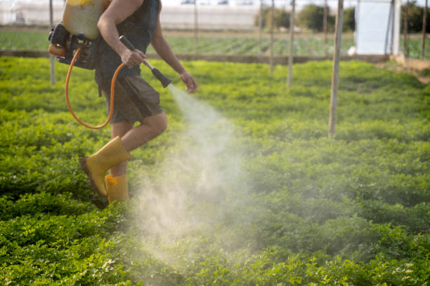 Best Affordable Pest Control Services  in Vernal, UT