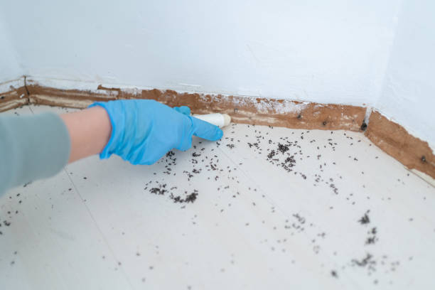 Vernal, UT Pest Control Company
