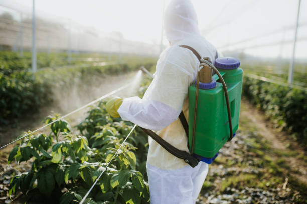 Best Emergency Pest Control  in Vernal, UT
